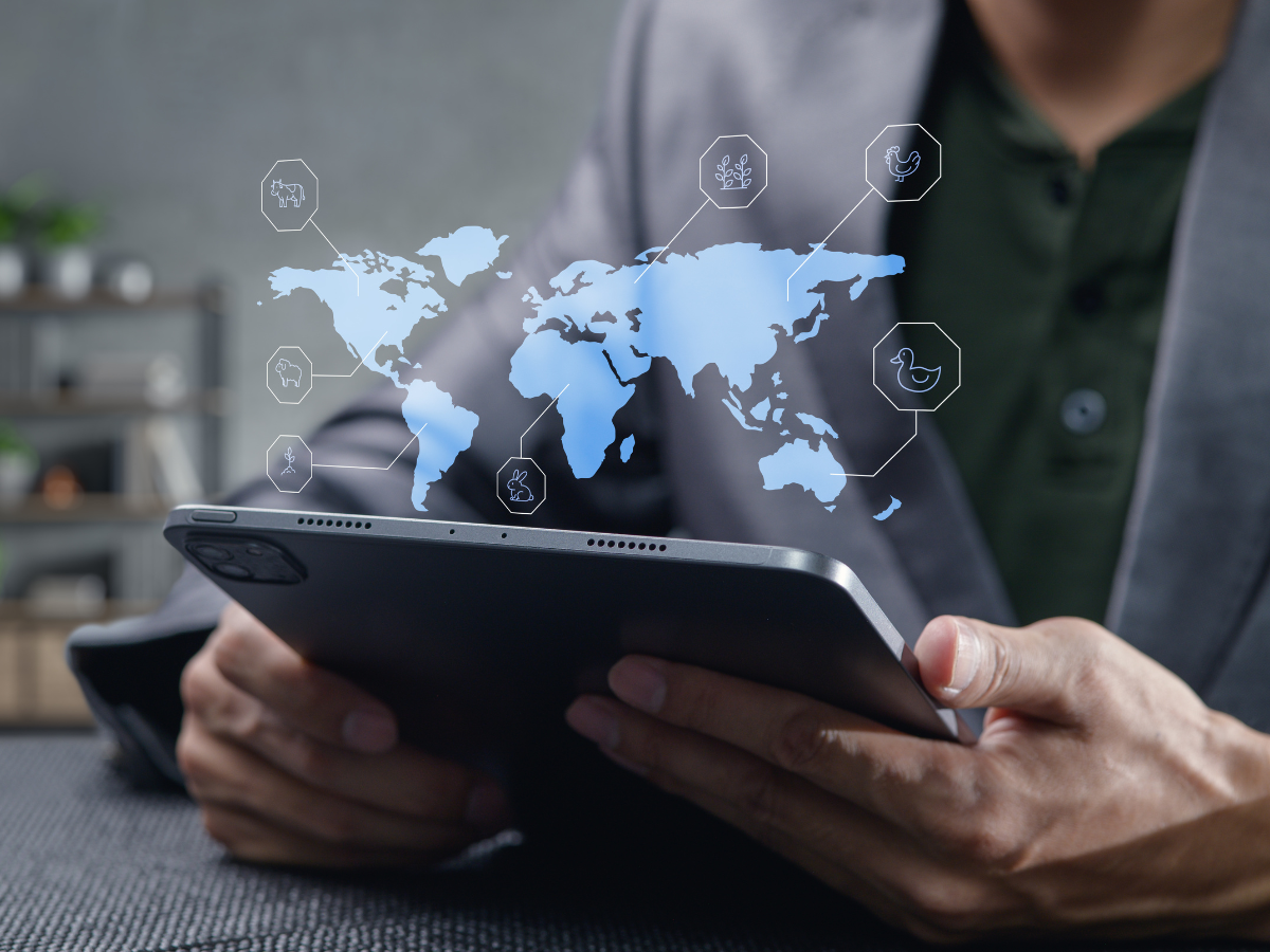 International market entry strategies